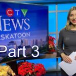 Part 3: My Review of CTV’s Nicole Di Donato’s Article