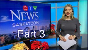Part 3: My Review of CTV’s Nicole Di Donato’s Article